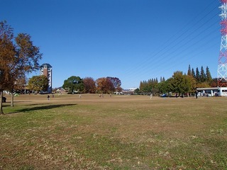 PB300373.jpg
