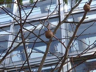 s-PC180840.jpg