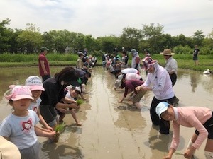 IMG_4622.jpg