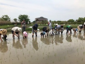 IMG_4623.jpg