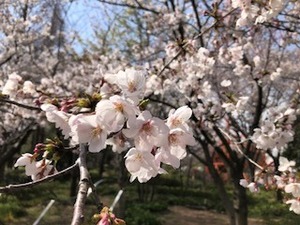 IMG_5796.jpg
