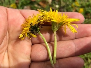 IMG_5842.jpg