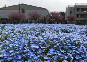 IMG_5912.jpg