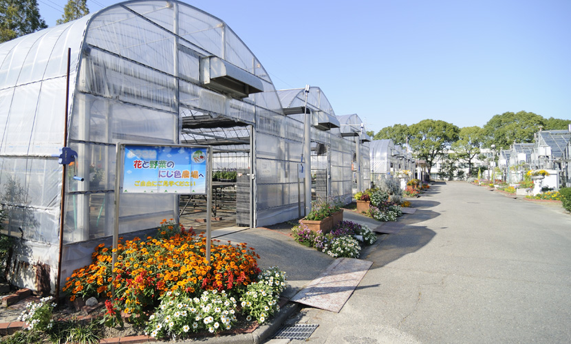 花と野菜のにじ色農場